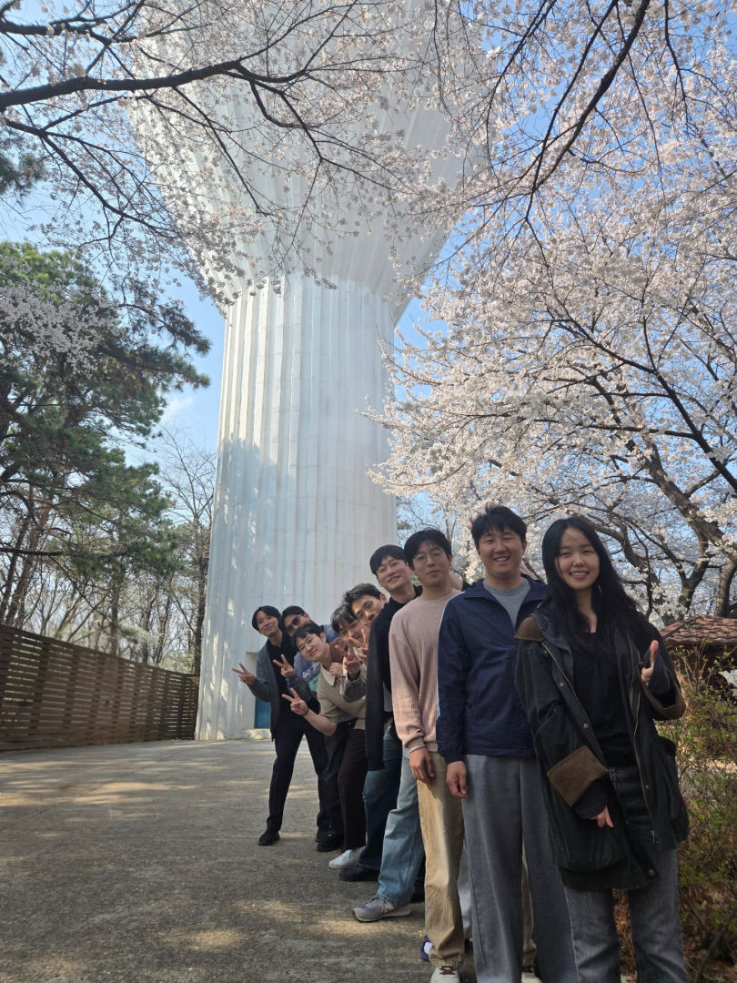 Beautiful Cherry Blossom