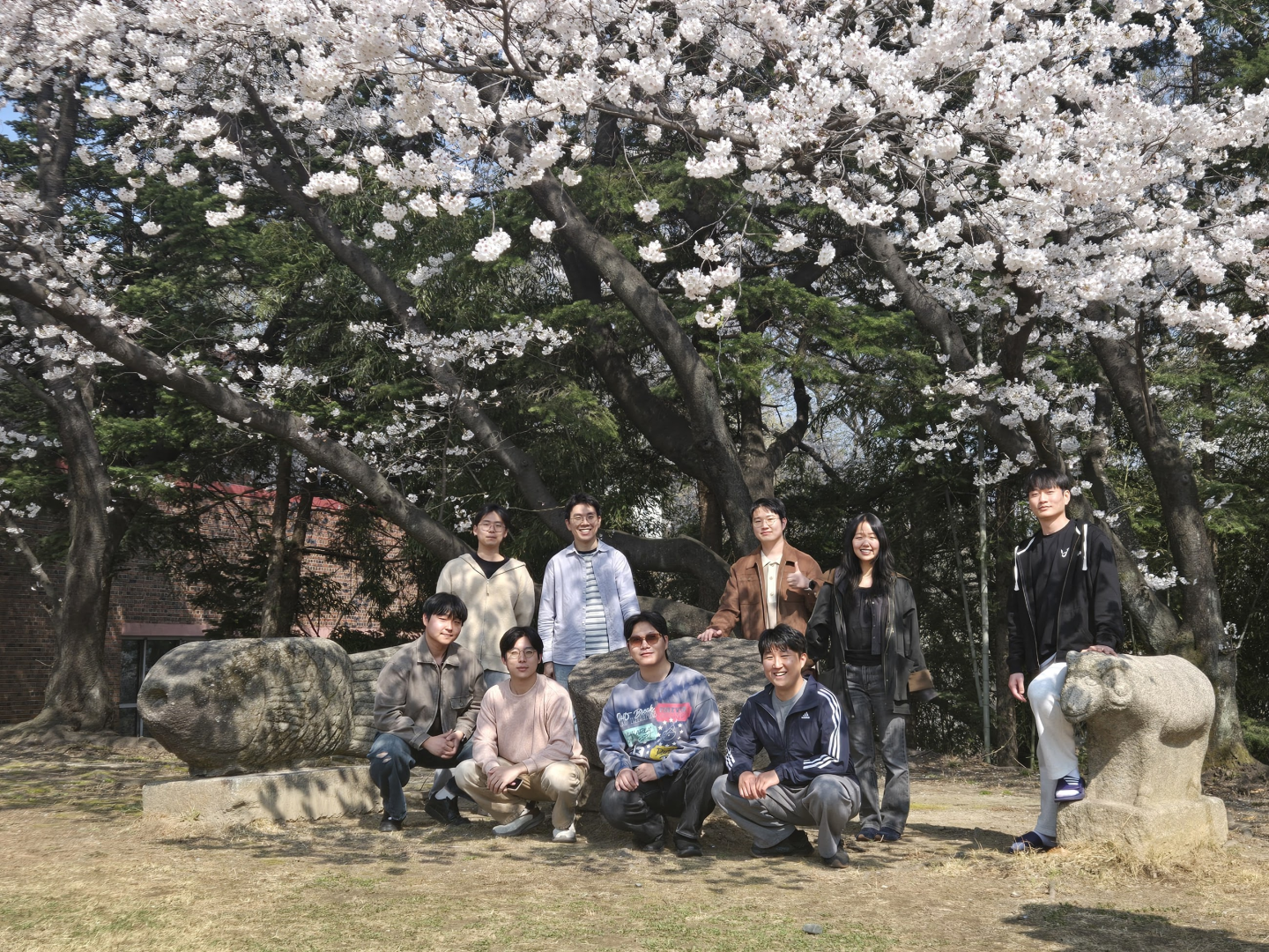 Beautiful Cherry Blossom