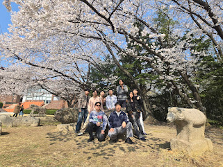 Cherry Blossom