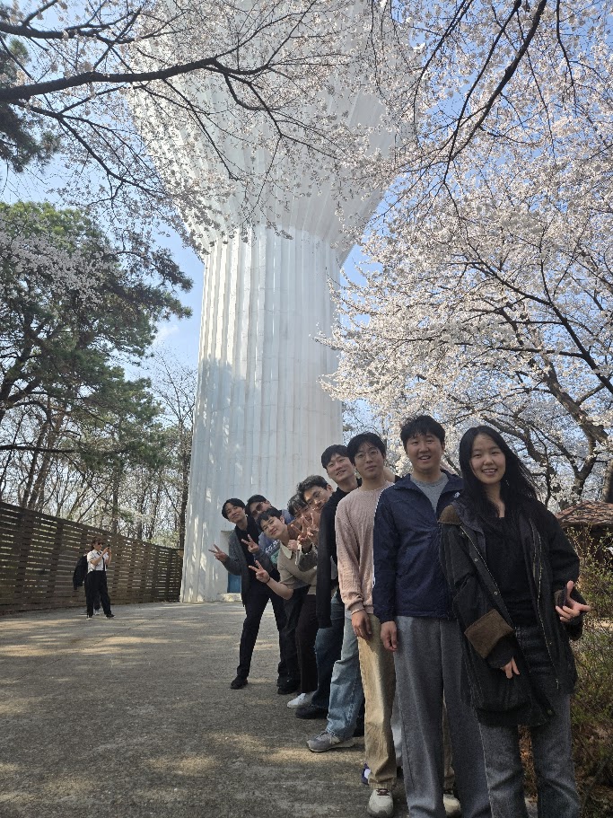 Cherry Blossom
